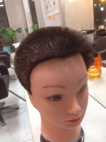 cut10.jpg