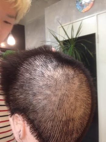 cut4.jpg